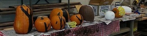 2016 Pumpkin Festival